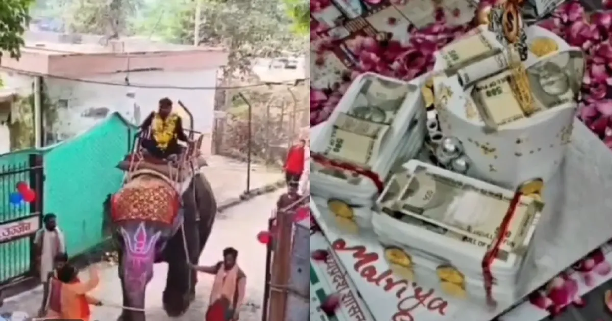 हाथी पर सवार होकर ऑफिस पहुंचे असिस्टेंट इंजीनियर, ढोल-नगाड़ों के बीच मनाया जन्मदिन; उठे कई सवाल