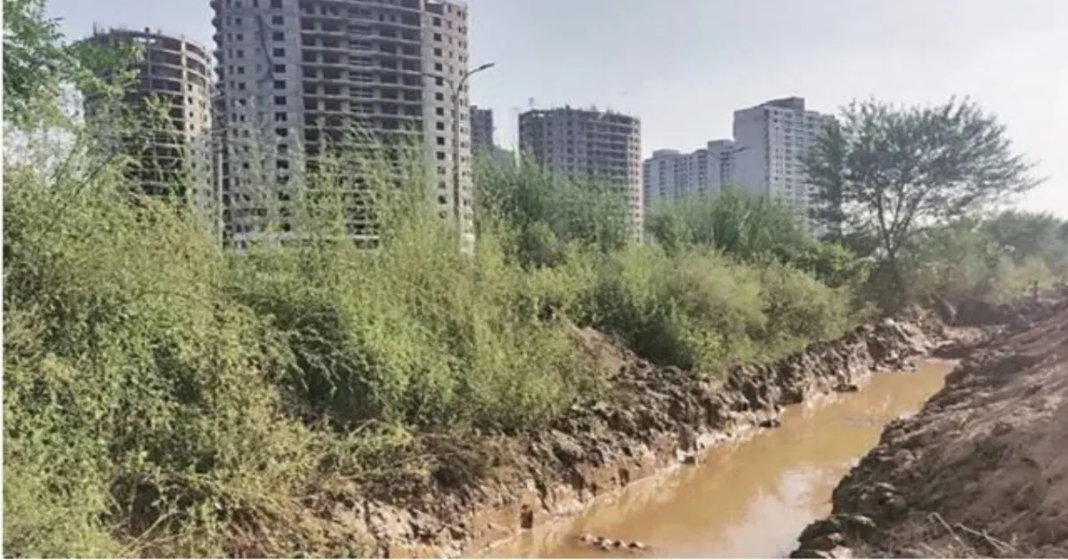 सिसवान में अवैध निर्माण: पंजाब-हरियाणा हाईकोर्ट ने GMADA का हलफनामा खारिज किया, 25,000 रुपये जुर्माना लगाया