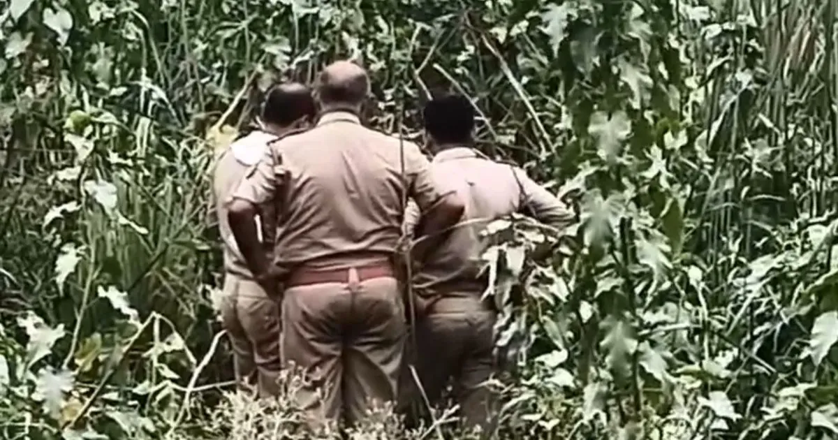 सोनभद्र के चोपन में क्रशर प्लांट के पास झाड़ियों से मिला मानव कंकाल, इलाके में सनसनी