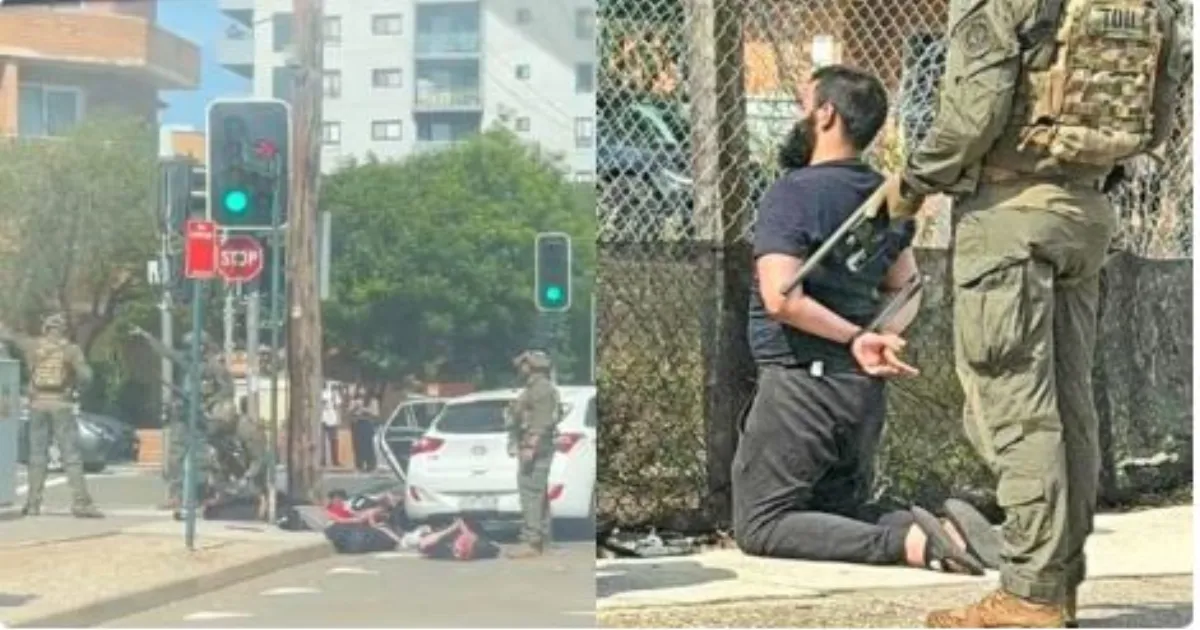 बॉन्डी बीच जाते समय हिंसक वारदात की साजिश नाकाम, न्यू साउथ वेल्स पुलिस ने सात लोगों को रोका