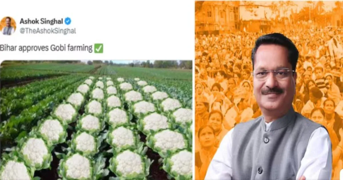 असम मंत्री अशोक सिंघल की गोभी पोस्ट विवादों में घिरी, नेटिज़न्स ने इसे 1989 भागलपुर दंगों से जोड़कर असंवेदनशील कहा। बिहार चुनाव नतीजों के बाद शुरू हुआ विरोध।