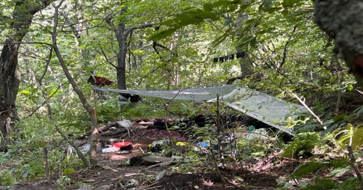 ऑपरेशन महादेव: पहलगाम हमले के तीन आतंकियों का अंत, सुरक्षा बलों को मिली बड़ी सफलता