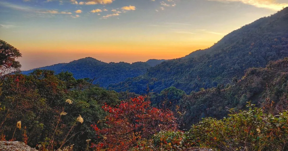 लद्दाख और अरुणाचल में वन्यजीव पैनल ने 13 रक्षा और अर्धसैनिक परियोजनाओं को दी मंजूरी