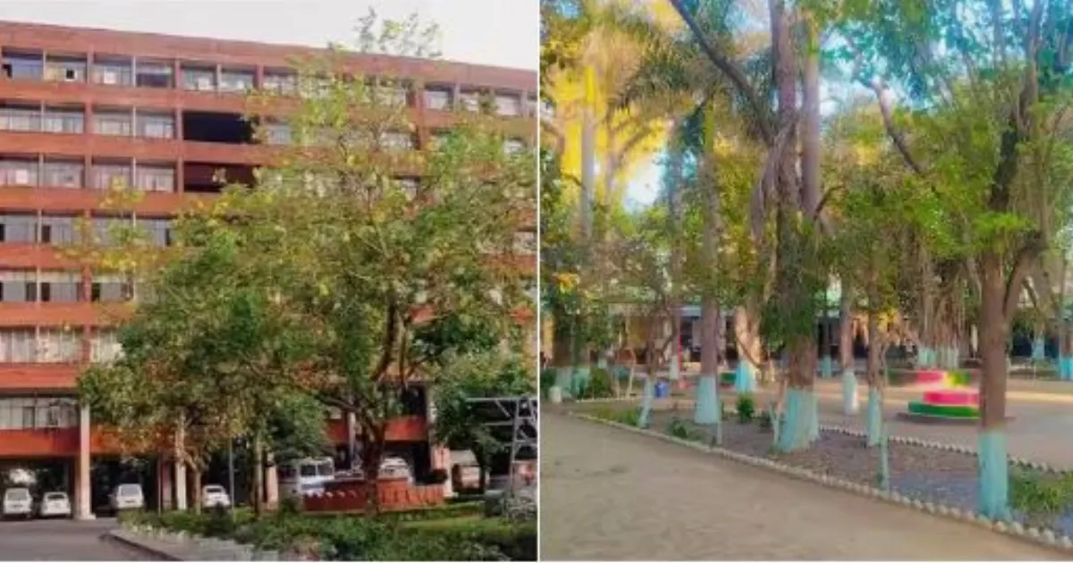 pseb-new-question-paper-format-2025