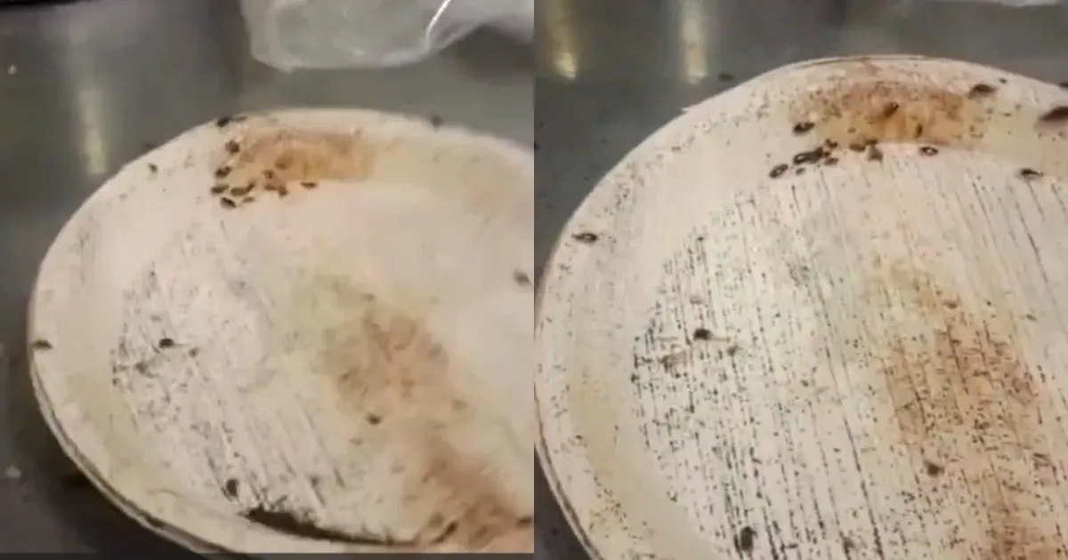 कर्नाटक विधानसभा कैंटीन में गंदगी का खुलासा, खाने में कॉकरोच और एक्सपायरी खाद्य सामग्री मिली