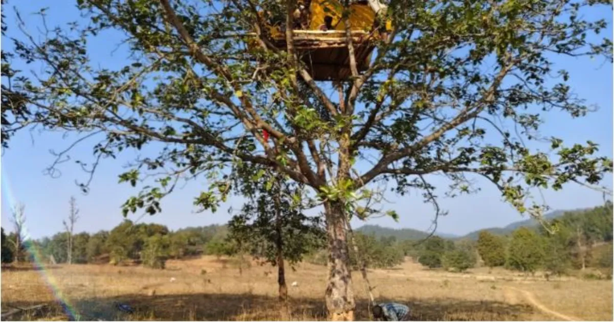 पूरा परिवार उजड़ गया: झारखंड में 20 लोगों की जान लेने वाले हाथी की तलाश की कहानी