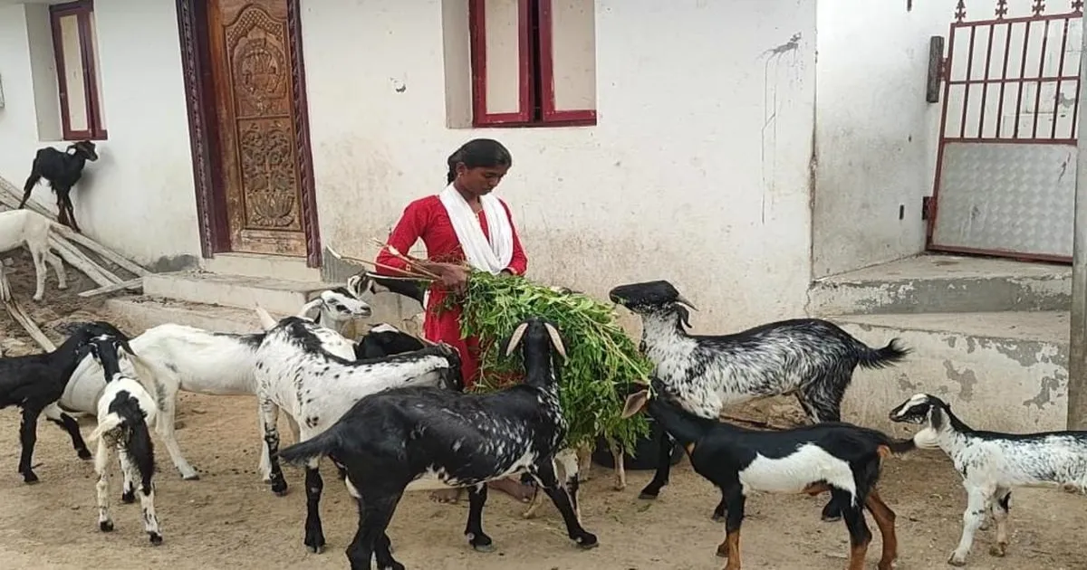 दूरदराज़ गांव की लकड़हारे की बेटी ने मेडिकल कॉलेज में पाई जगह