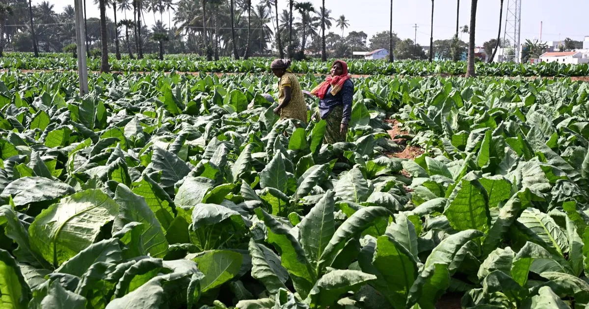 उच्च मूल्य वाले उत्पादों और नए बाजारों पर ध्यान से निर्यात गति बनाए रखी जा सकती है: आर्थिक सर्वेक्षण