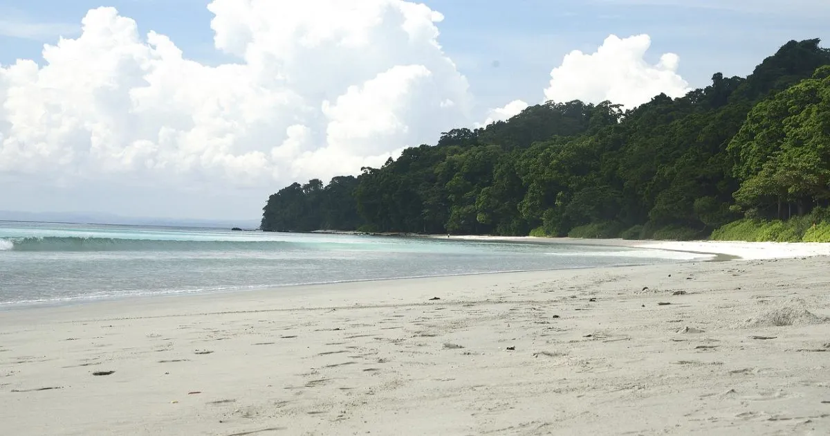 ग्रेट निकोबार परियोजना: जनजातीय आरक्षित भूमि को डीनोटिफाई करने का नक्शा तैयार, कर्मचारियों के लिए ट्रांजिट आवास बना