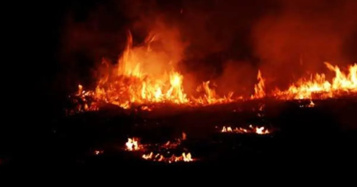 पाकिस्तान: कराची के शॉपिंग कॉम्प्लेक्स में भीषण आग, 6 की मौत, 38 लापता