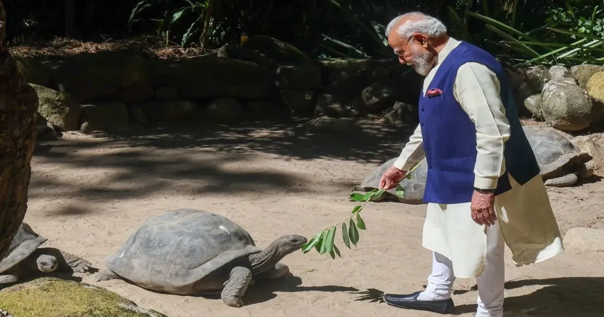 सेशेल्स दौरे पर प्रधानमंत्री नरेंद्र मोदी ने दुनिया के सबसे उम्रदराज़ जीवित स्थलीय जीव जोनाथन से की मुलाकात