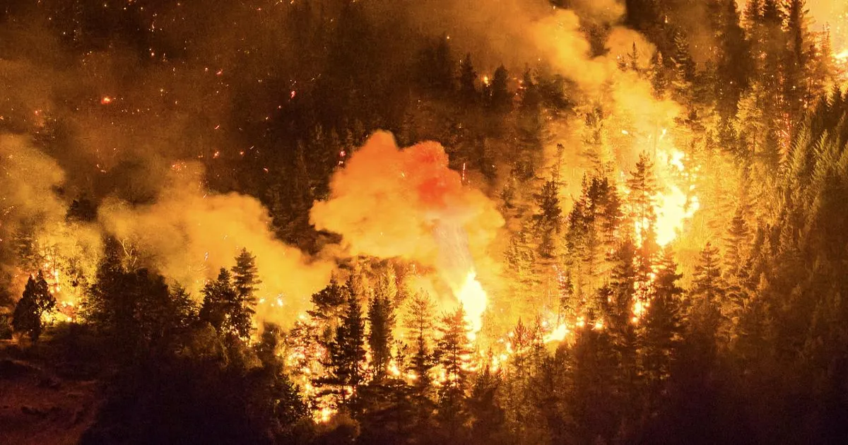 दक्षिणी अर्जेंटीना में भीषण जंगल की आग, 12 हजार हेक्टेयर वन क्षेत्र तबाह, कई समुदायों पर खतरा