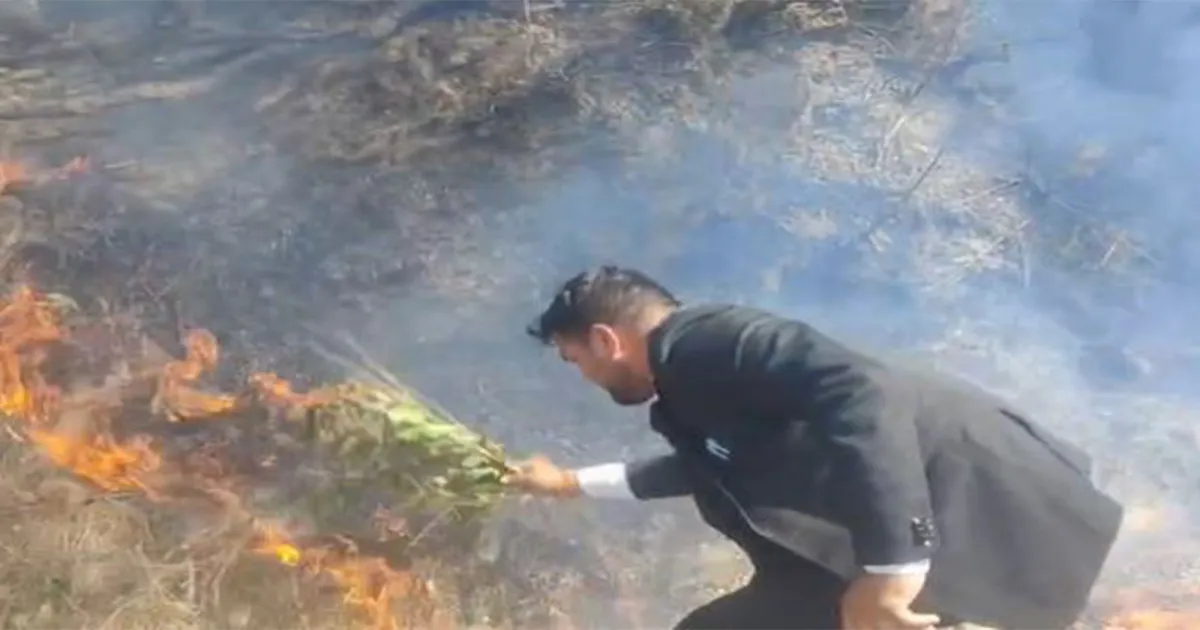 उत्तराखंड: पौड़ी-श्रीनगर मार्ग के पास जंगल में लगी आग, स्थानीय लोग चिंतित