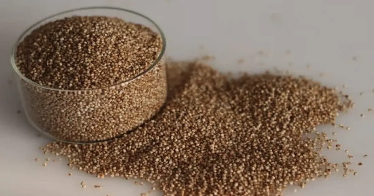icmr-millets-protein-diet